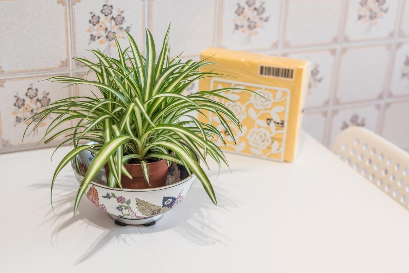 Guestready - Eclectic Haven In The Heart Of Porto 아파트 외부 사진